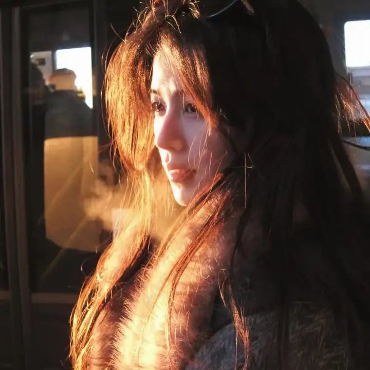 枪与玫瑰：少帅的逃爱游戏